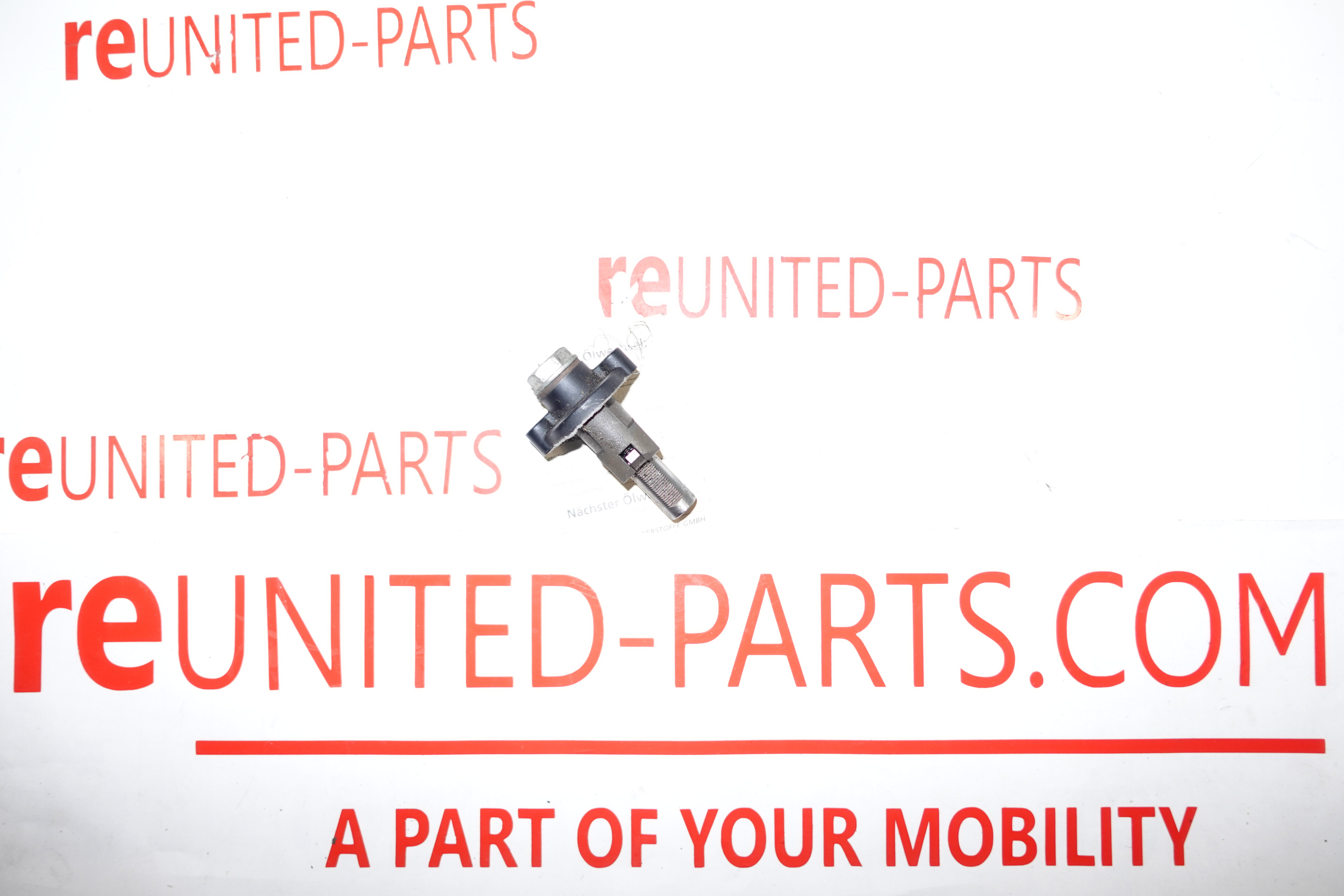 Triumph Daytona 955 | Kettenspanner Steuerkette